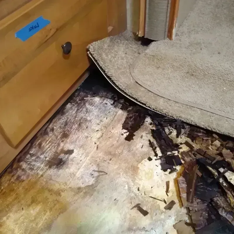 Wood Floor Water Damage in Parker, FL